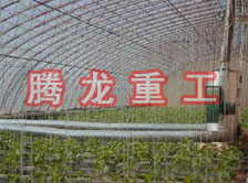 大棚花卉供暖設備、大棚卉采暖設備、大棚花卉取暖設備