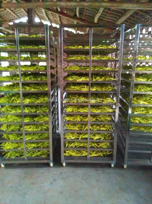 黃花菜烘干機、黃花菜烘干設(shè)備、黃花菜干燥機、黃花菜干燥設(shè)備、
